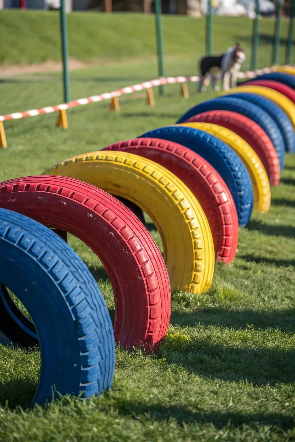 Convert old tires into a vibrant DIY fun run for unlimited canine amusement!